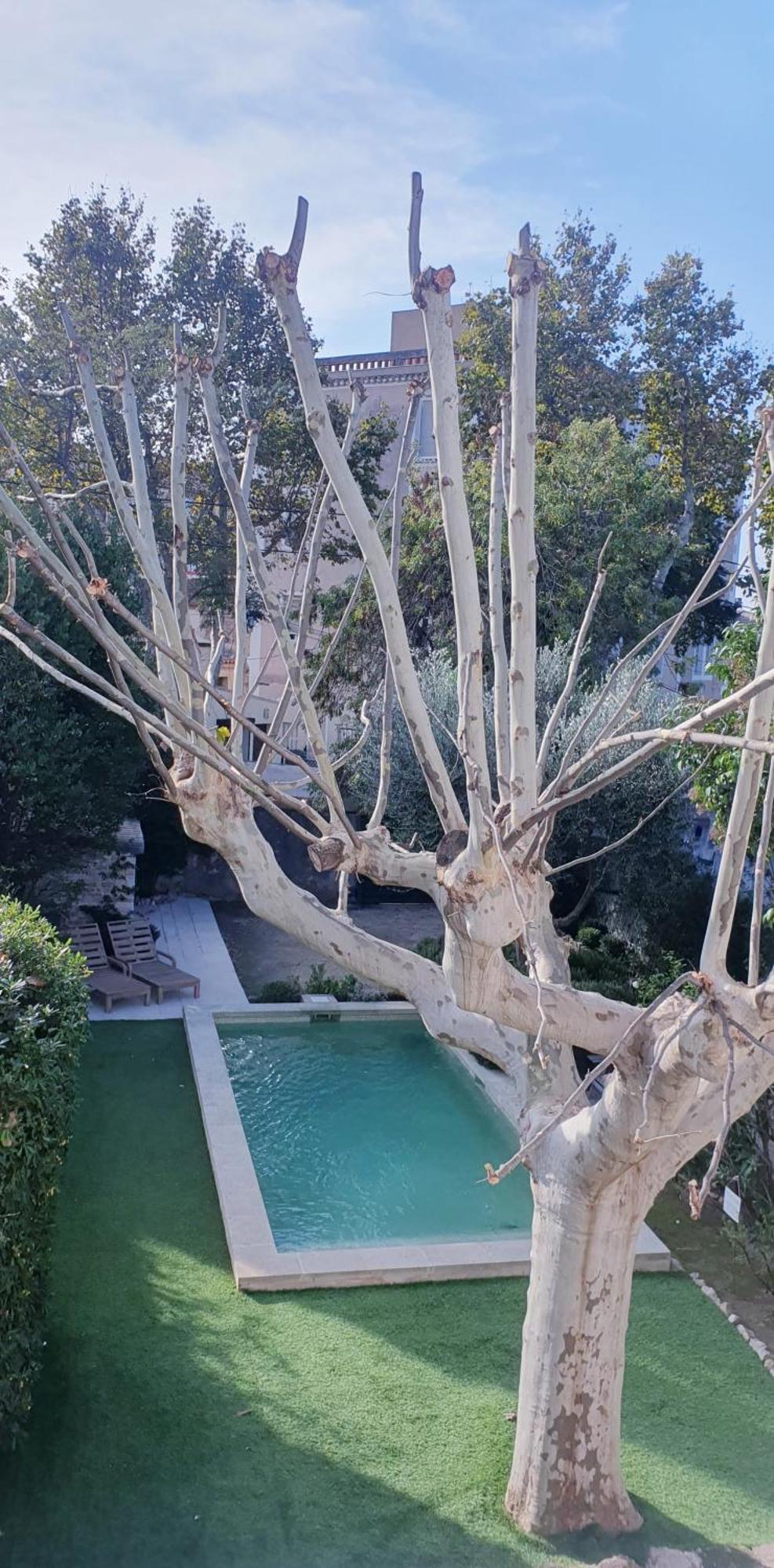 Maison D'Hotes La Bastide De Patou, Suite De 2 A 6 Personnes Marseille Exteriér fotografie